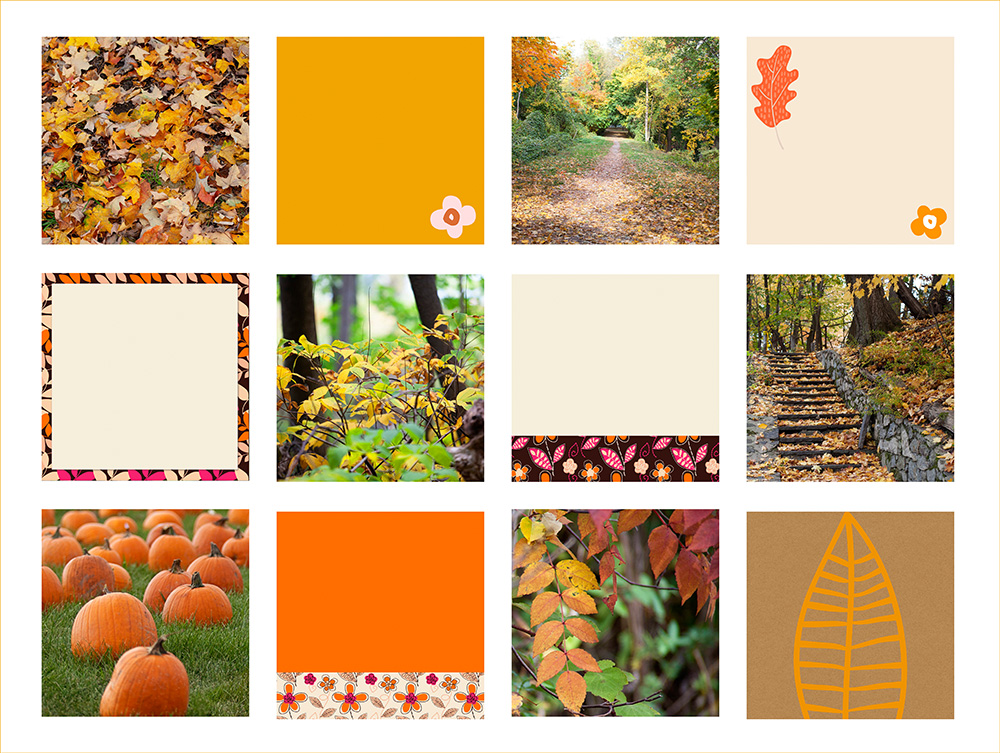 Fall Stock Images