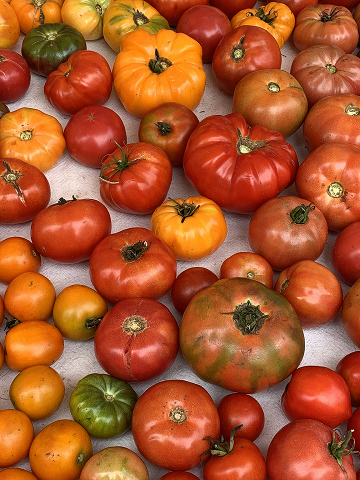 Union Square Green Market