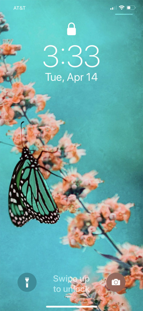 Butterfly wallpaper for iphone by Stacey Natal