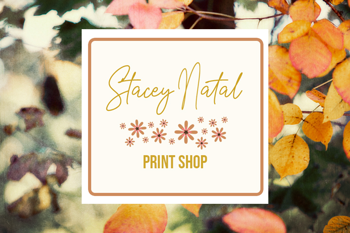 Stacey Natal Print Shop