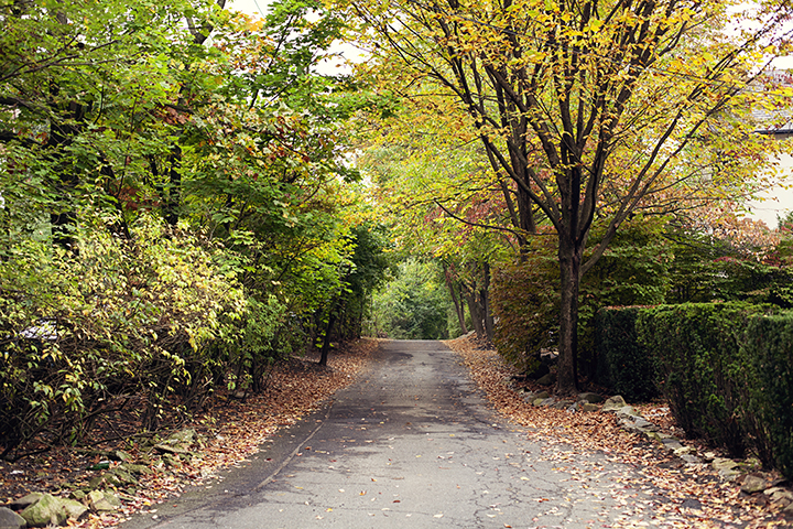 Fall foliage in Riverdale, NY - photo by Stacey Natal