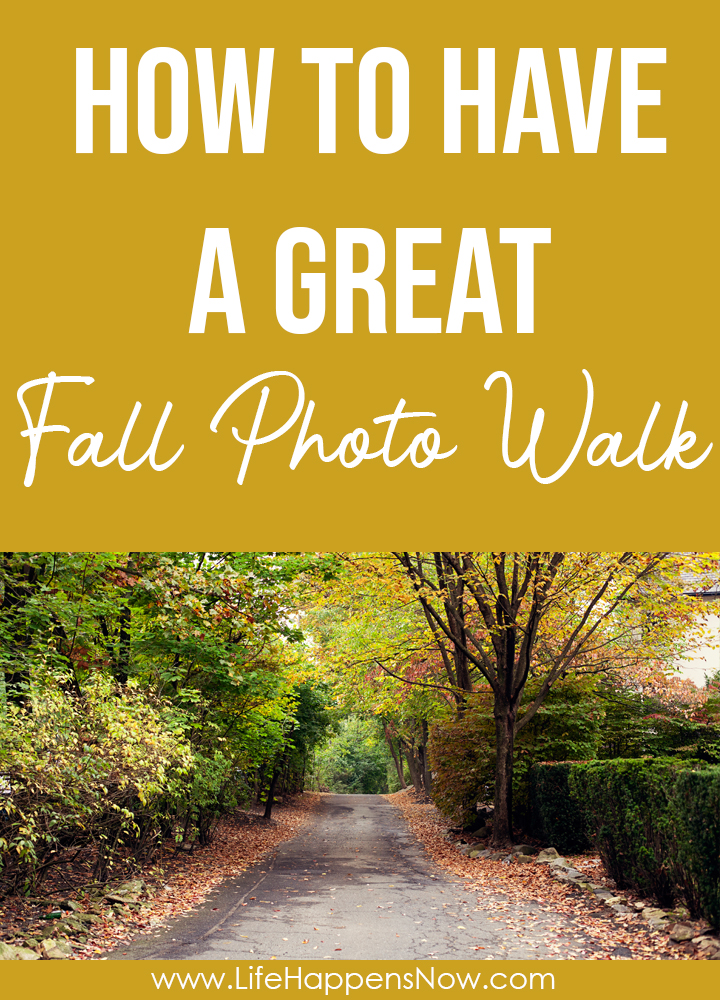 Tips for a great fall photo walk