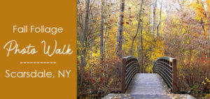 Fall Foliage Photo Walk, Scarsdale NY