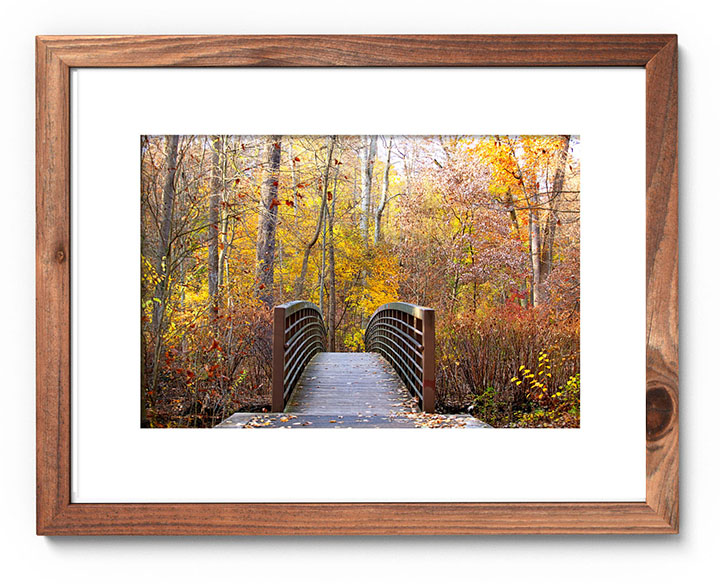 fall foliage wood bridge crossing scarsdale ny