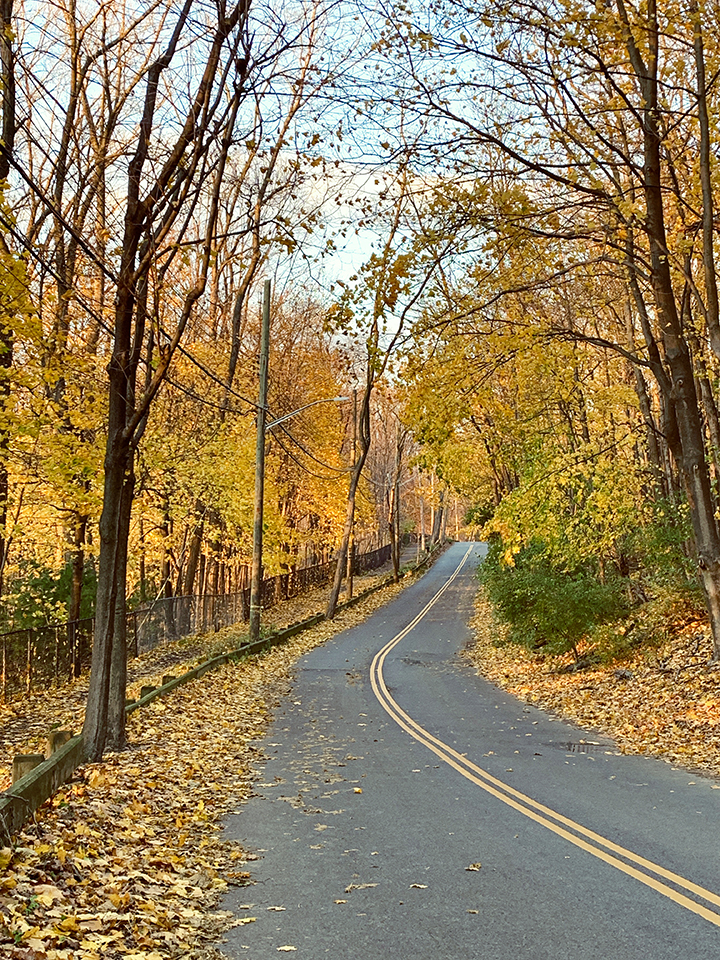 fall foliage palisades ave ny