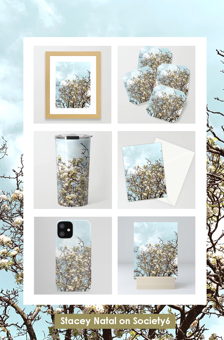 WHite Blossoms - Stacey Natal on Society6