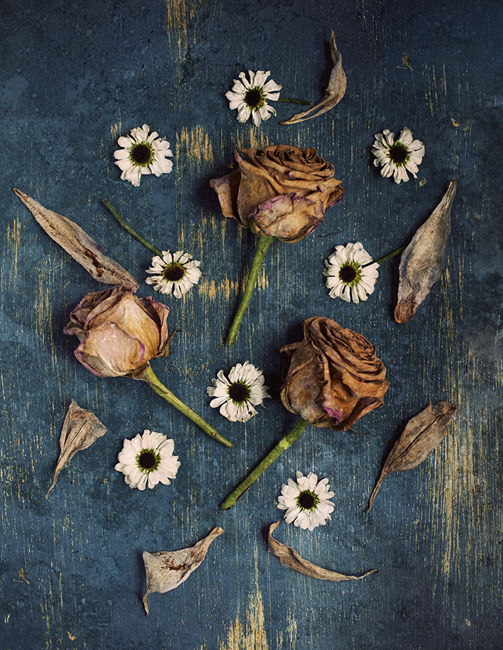 dried flowers - 40 day sof floral art challenge with Stacey Nata