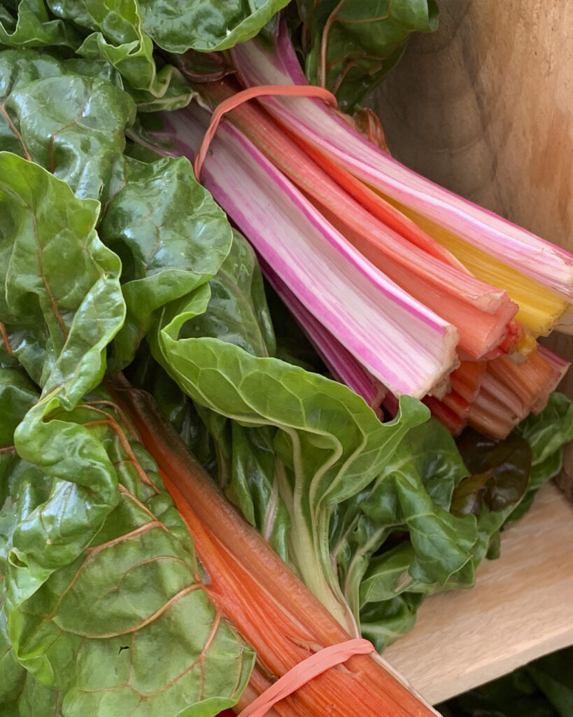 rainbow chard - Tarrrytown farmers market