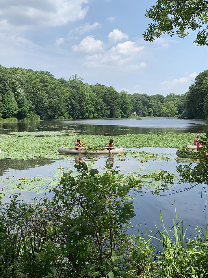 tibbet brook park